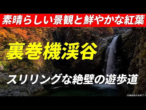 裏巻機渓谷(うらまきはたけいこく) 素晴らしい渓谷美と鮮やかな紅葉 断崖絶壁の縁を歩くスリリングな遊歩道 登山装備推奨 新潟県南魚沼市永松 裏巻機トレッキングコース 2023年11月5日