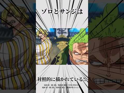 ゾロとサンジに関する面白い雑学#ワンピース #onepiece #雑学 #ゾロ#サンジ