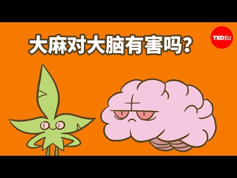 大麻对大脑有害吗？- Anees Bahji