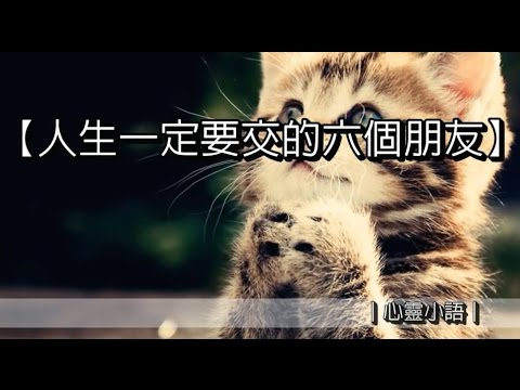 人生一定要交的六個朋友｜心靈小語｜