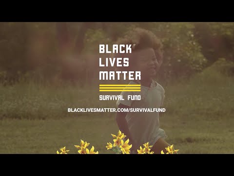 Funding Our Own Survival So We Can Thrive - BLM Survival Fund