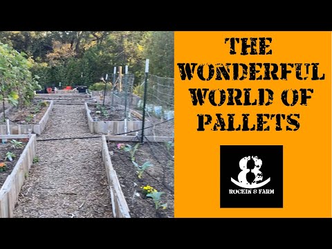 Pallets Are A Homesteaders Friend | Central Texas Homestead