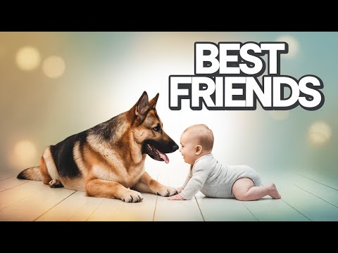 😂 Dog Teasing Baby – Cutest Playtime Moments! 🐶👶