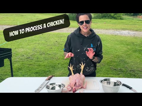 How To Process A Chicken