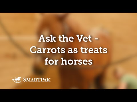 Ask the Vet - Carrots as treats for horses