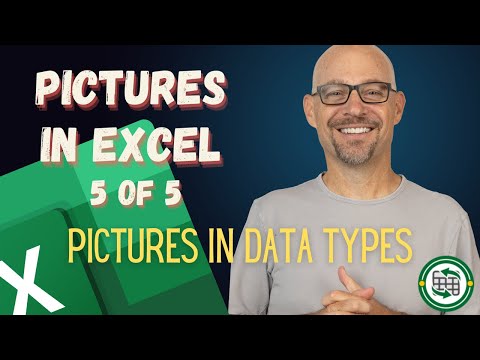 Pictures in Data Types Part 5 | Excel Formula Hacks