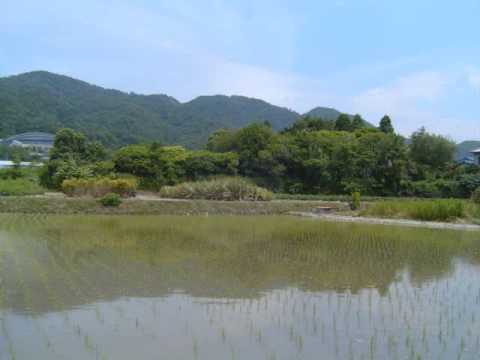 天まで駆けるよ　～伴奏～