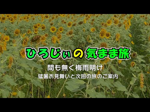 【ひろじぃの気まま旅】猛暑お見舞い　古代蓮が見頃の鹿央古代の森公園古代ハス園　次回の旅のご案内