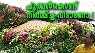 പൂക്കൾകൊണ്ട് നിർമ്മിച്ച ഒരു ഒരു വീട് !!!Beautiful Garden Kerala   I Gardening Tips malayalam