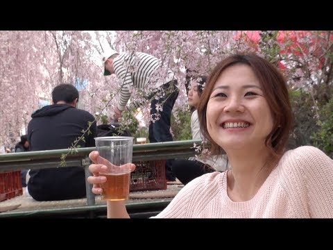 中国人モンちゃん食べまくり旅❤モンちゃん宇都宮の旅❤お花見❤イカ焼き❤