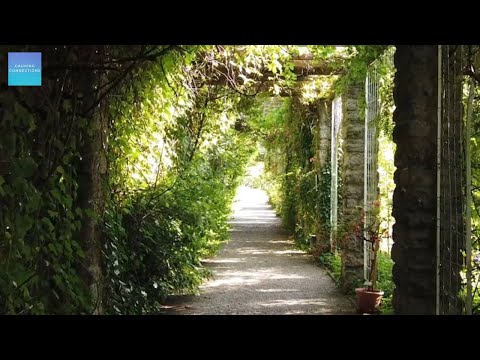 Quiet Music For Kids In The Classroom - Nature path walk - Morning Music For Class