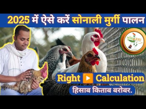 2025 में 1000 सोनाली मुर्गी पालन का पूरा लेखा जोखा | How much cost, how much profit? | Sonali Murgi.