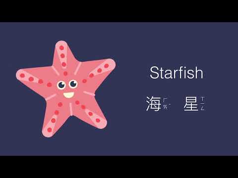 幼兒英文單字｜夏天｜海灘｜認識季節｜兒童英文學習｜中英文單字｜雙語教育｜Summer and Beach Vocabulary in Chinese