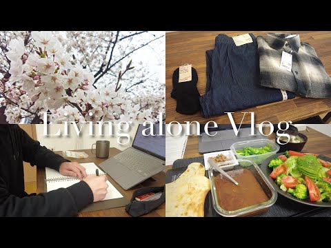 [ Vlog ] Cherry blossom viewing at Ueno Park | Purchased items | Studying for exams