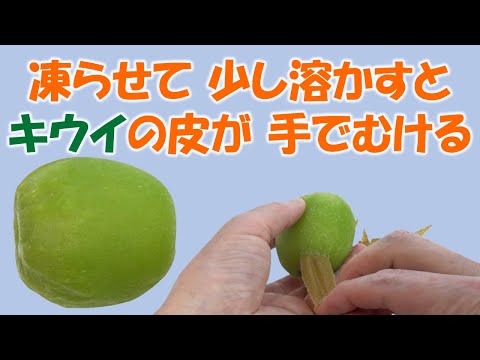 凍らせて少し溶かすとキウイの皮が手でむける