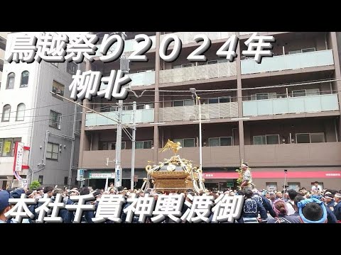 鳥越祭り２０２４年 柳北 本社千貫神輿渡御 ６月９日 鳥越神社 東京都台東区鳥越 良かったらチャンネル登録よろしくお願いいたします❤️