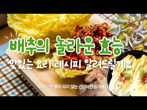 배추의 놀라운 효능 간단한 간식 레시피 이렇게 먹으면 정말 맛있습니다