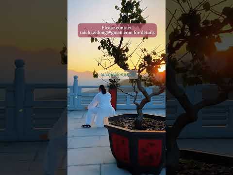 241257--Wudang Tai Chi