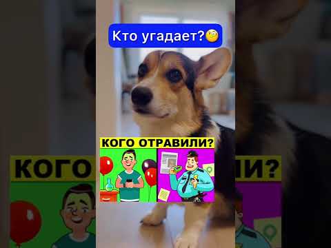 СМЕШНЫЕ ЖИВОТНЫЕ | КОГО ОТРАВИЛИ?