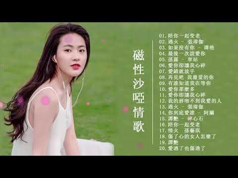 【HIFI音乐】伤感磁性沙哑重音放送💓 2小時30首加長版一次聽個夠！ 笑天 -愛你卻讓我心碎/ 倪爾萍 - 初吻給了香煙愛情給了烈酒/ 雪儿 - 你是我唯一的執著/王鶴錚 - 愛我就跟我走