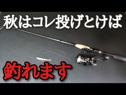 11月、どうしても釣りたい方はこの組み合わせをとりあえず投げてみて下さい「バス釣り」「釣り方」「スモールマウスバス」