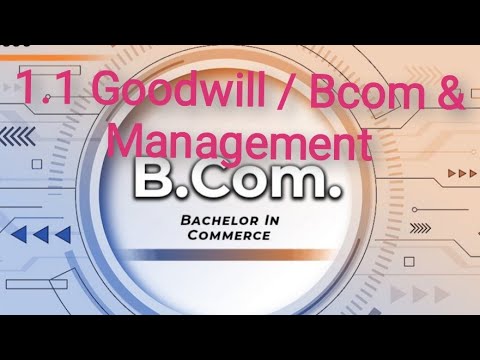 1.1 Goodwill / Bcom & Management