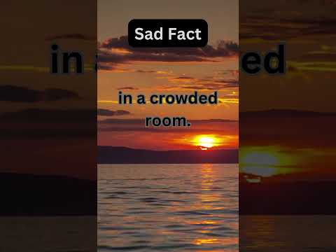 People often feel loneliest #happiness #lawofattraction #reducestress #manifestation #love #sad