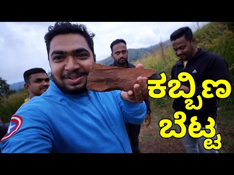 SECOND SAFEST PLACE IN THE WORLD MULLYANGIRI HILLS BACK | CHIKMAGALUR KARNATAKA INDIA