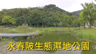 永春陂生態濕地公園 | 臺北市信義區第一座都會型濕地公園