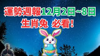 命理測算：屬兔人一週運勢（12月2日至8日），內含吉凶日，一定要看！ #2024年生肖兔運勢 #2024年生肖兔運程 #2024年屬兔運勢 #屬兔運程