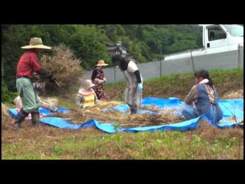 里山をまもる