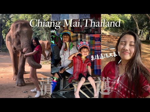 【旅泰1個月🇹🇭ep.2】清邁洗大象超好玩🐘探索清萊、東南亞金三角！適合數位遊牧👩‍💻？、|Travel alone in Chiang Mai,Thailand