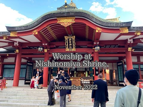 Worship at Nishinomiya Shrine. #Worship #shrine #nishinomiya