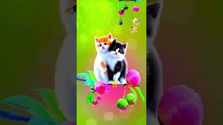 গোলাপ ফুলের কাঁটা #cats #cute #trending #catlover #shorts #youtube