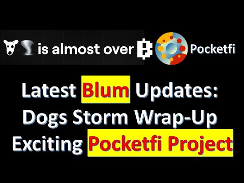 Latest BLum Updates: Dogs Storm Wrap-Up and Exciting Pocketfi Project!