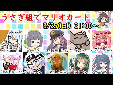 【8月25日】すべてを轢く【マリオカート８ デラックス】