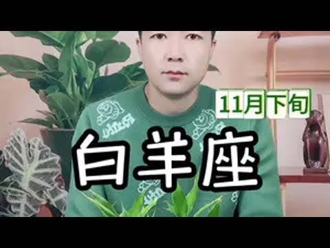 白羊座11月下旬感情走向 白羊座11月下旬感情走向白羊座