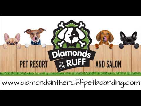 Diamonds in the Ruff Pet Resort and Salon - Abilene TX Pet Boarding