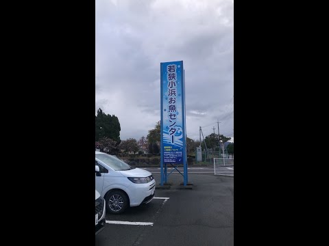 若狭小浜お魚センター！2024/12/08