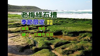 [台北季節旅遊景點] 石門老梅綠石槽一片綠藻覆蓋的海灘，季節限定美景！