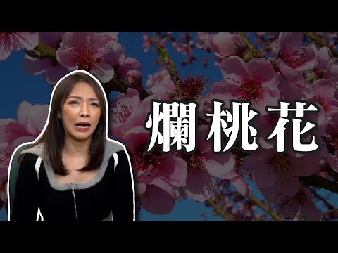 想分也分不了的爛桃花！｜恐怖情人｜真實案例分享