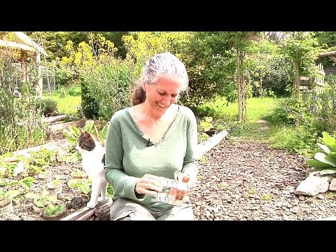 How to make slug & snail barrier with copper tape - compassionate gardening techniques