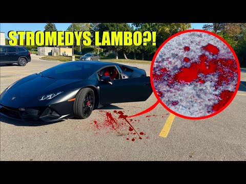 if you ever see a BLOOD TRAIL LEADING TO STROMEDY'S LAMBORGHINI... RUN AWAY IMMEDIATELY!! ( wtf)