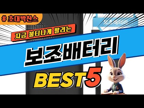 2024 초대박 찬스 보조배터리 추천 대박 가성비 베스트5! 후기 비교