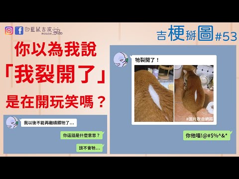 我整隻貓都裂開了(物理)｜新聞合輯｜提前十個月過生日｜陌生的妹妹｜吉梗掰圖#53｜