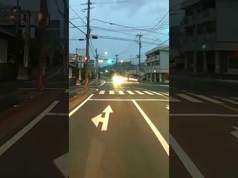 82 対向車よけてくれたね #shorts