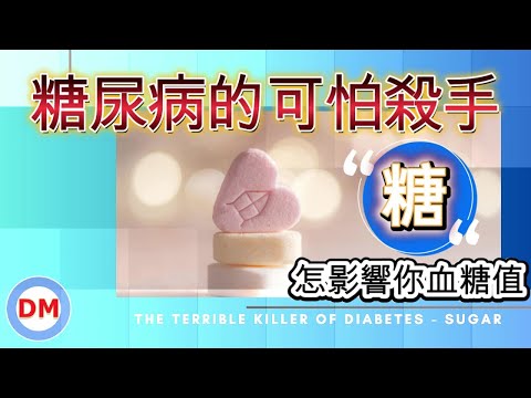 糖如何影響你的血糖 為什麼會糖上癮 如何控糖【糖老大】