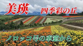 ノロッコ号で巡る四季彩の丘！花畑をゆっくり満喫（9月）