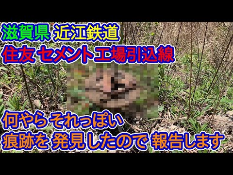 【滋賀県】何やら痕跡を発見したので報告しときます