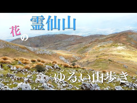 「霊仙山」今畑集落跡〜落合集落跡　ゆるい山歩き　＃霊仙山＃鈴鹿山脈＃花の百名山